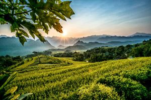 La belleza de campos en terrezas en el noroeste