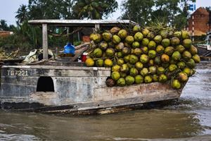 Comercio de coco en Ben Tre, Vietnam