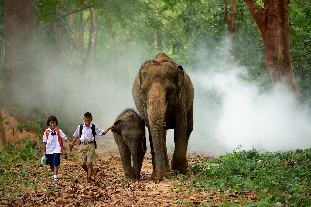 Viaje al Norte de Vietnam y Tailandia en 14 días