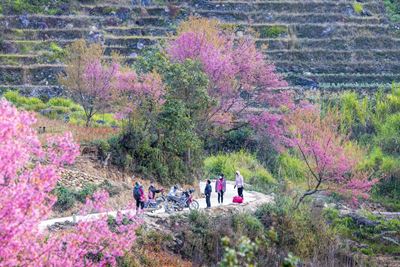 7 Days in Sapa - Ha Giang: Ethnic Villages and Majestic Landscape