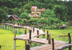 La tranquilidad en los campos en Chiang Mai