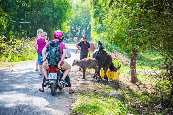 Excursión al campo de Hoi An.