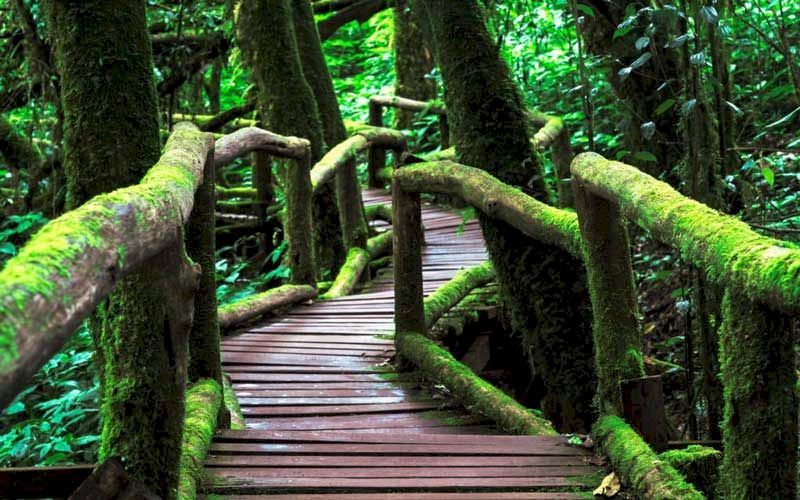 La naturaleza en Chiang Mai