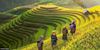 Vietnam en 10 días: De Aventura en Sapa a Tranquilidad de Hoi An