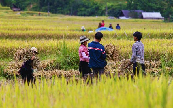 Viaje barato a Vietnam en 12 días: Lo mejor de Norte y Centro