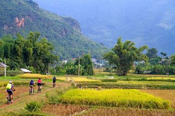 Natural Highlights of Northern Vietnam in 5 Days