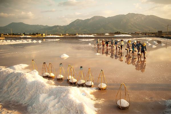 Salt farm in Ninh Thuan