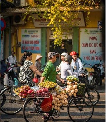 La belleza de Vietnam de Sur a Norte en 12 días
