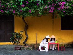 Colors come alive in Hoi An's historic district