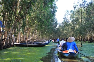 Life flows gently along the Mekong Delta's winding waterways