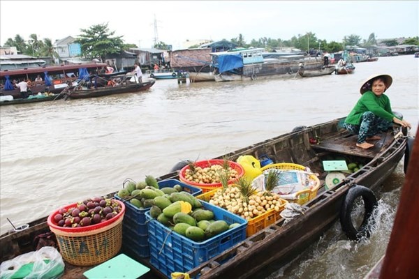 Floating markets and vibrant colors in the heart of the Mekong Delta.