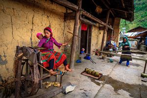 Vida cotidiana de una familia étnica en Ha Giang