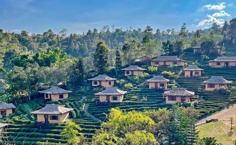 Mae Hong Sons misty valleys, where love is as elusive and enchanting as morning fog