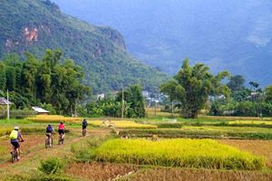 Scenic biking trails through the charm of Mai Chau
