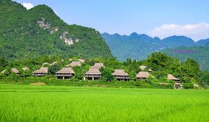 Un magnífico paseo por los arrozales en Mai Chau