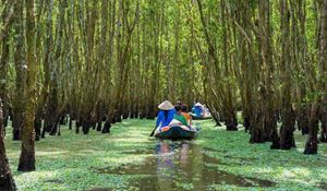 Delta del Mekong, un mundo mitad terrestre, mitad submarino