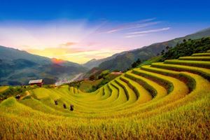 Golden terraced rice fields of Mu Cang Chai.