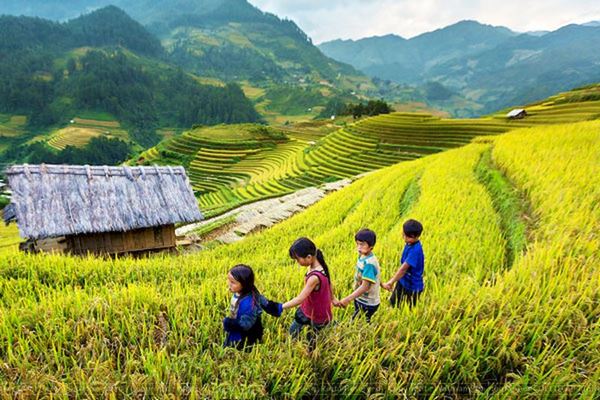 Mu Cang Chai, tierra de magníficas terrazas de arroz