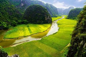 Ninh Binh, con sus hermosos paisajes naturales, es la antigua capital de Vietnam