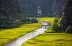 Majestic views of Ninh Binh's limestone peaks and vibrant rice fields.