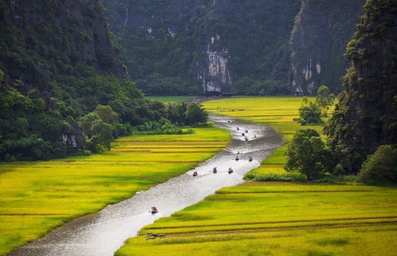 Majestic views of Ninh Binhs limestone peaks and vibrant rice fields.