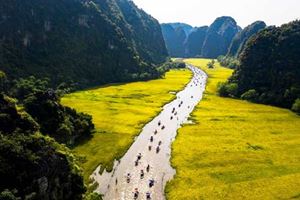 Majestic views of Ninh Binh's limestone peaks and vibrant rice fields
