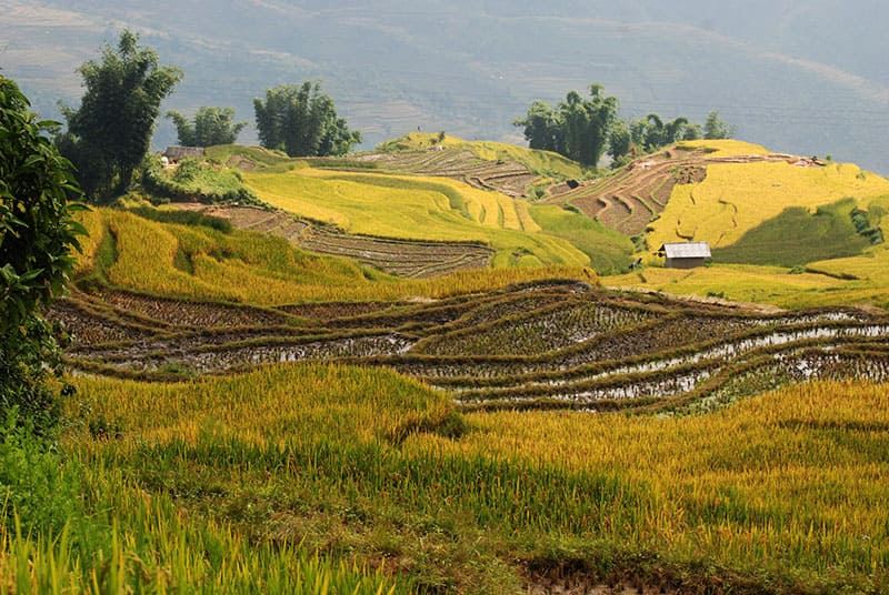 Pu Luongs serene terraced landscapes