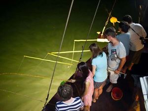 Pesca nocturna en la bahía