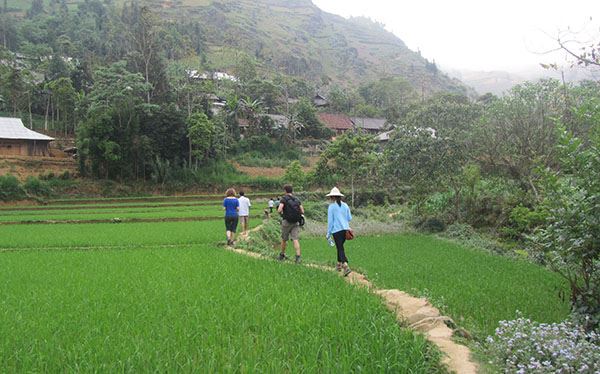 Caminatas para descubrir los valles, los arrozales y los pueblos étnicos del norte.