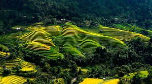 Terrazas de arroz hasta donde alcanza la vista en las montañas del norte