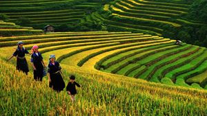 Witness the golden hues of sunrise illuminating the stunning scenery of Sapa