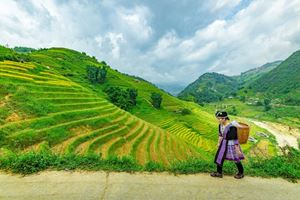 Sapa, un destino imperdible con los mejores campos de terrazas que vale la pena visitar