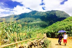 Caminata por campos de maíz