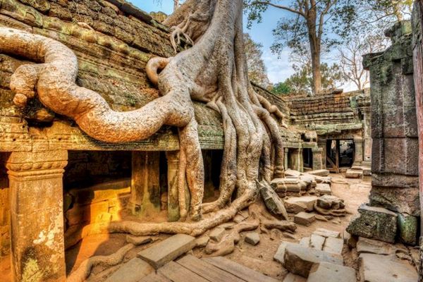 Explora los templos de Angkor Wat