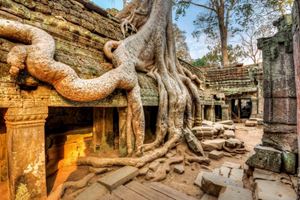 Angkor Wat es un enorme y gran complejo de templos construido en piedra