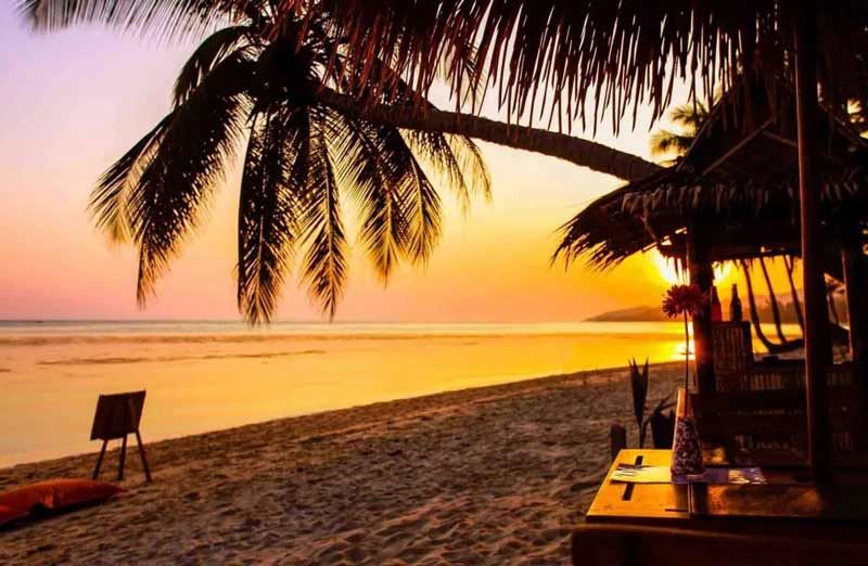 Tropical cocktails and beachside bliss on Koh Samuis shorelines.