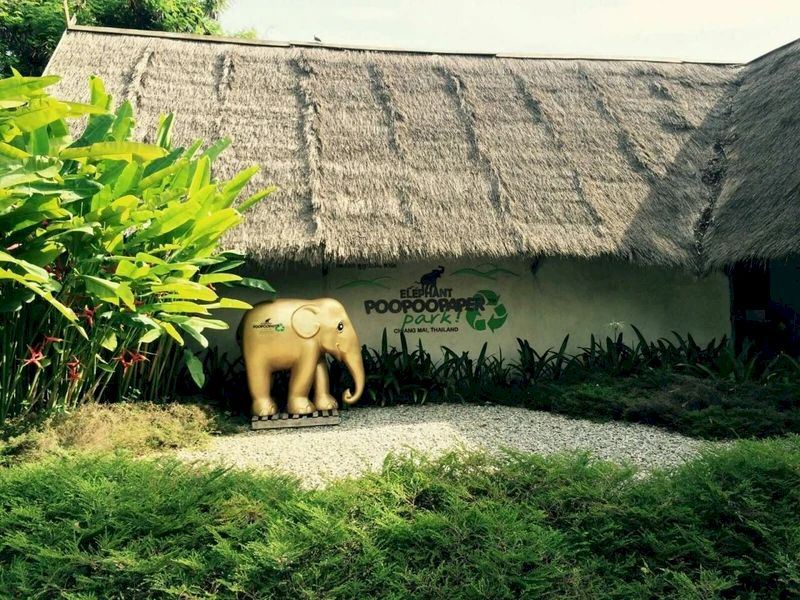 La granja de elefante PooPooPaper