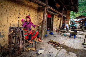 Tejido de una familia Hmong en Ha Giang