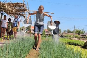 Visita los campos rurales de Hoi An, con su familia