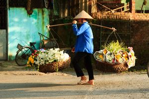 Vendedor callejero de flores