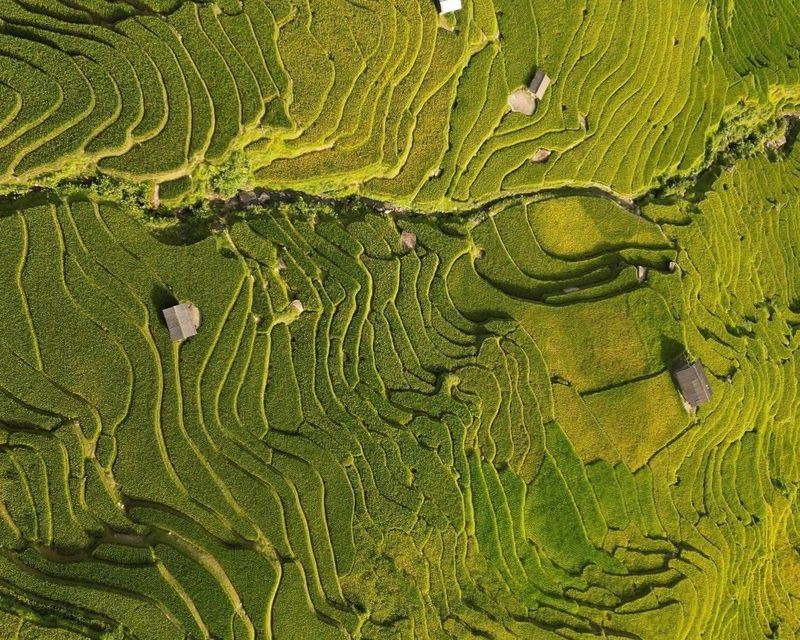 Los arrozales majestuosos en Ta Van, Sapa