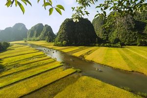 Tam Coc con los majestuosos paisajes de arrozales y formaciones kársticas